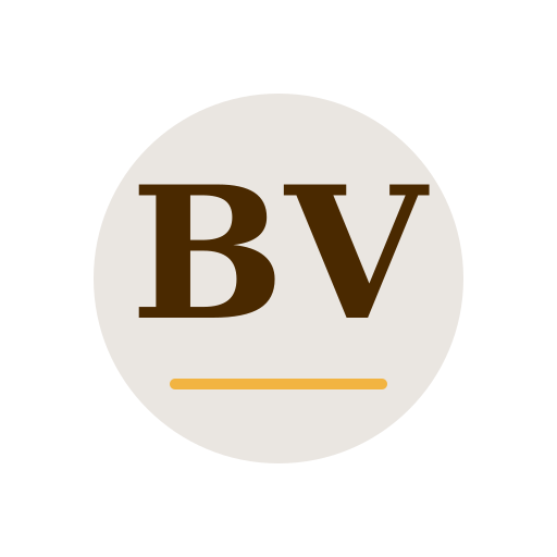 Bright Valley Air Duct Services logo